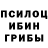 Псилоцибиновые грибы Magic Shrooms Marik krik