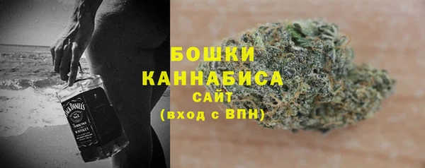 ГАЛЛЮЦИНОГЕННЫЕ ГРИБЫ Арсеньев
