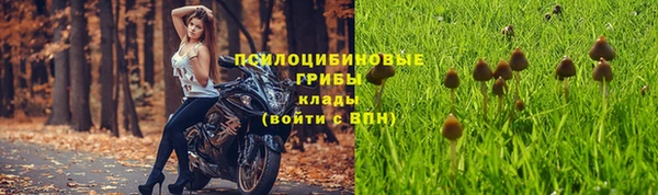 ГАЛЛЮЦИНОГЕННЫЕ ГРИБЫ Арсеньев