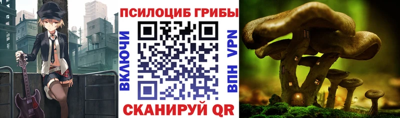 Псилоцибиновые грибы прущие грибы купить Петропавловск-Камчатский